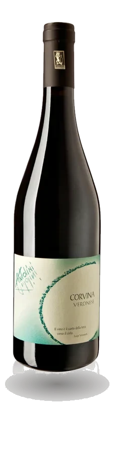 Corvina Veronese