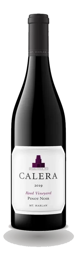 Reed Pinot Noir