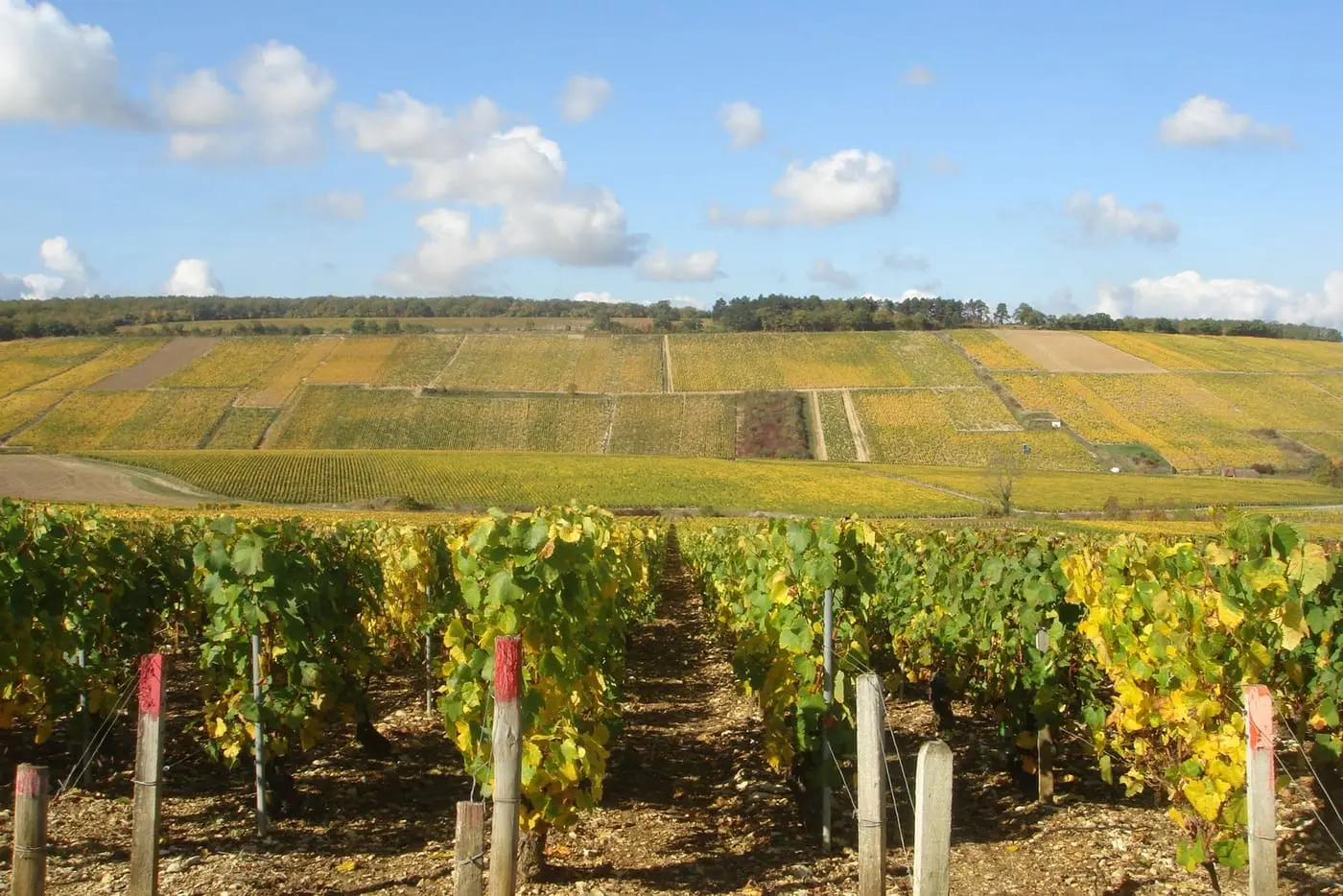 DOMAINE DANIEL-&Eacute;TIENNE DEFAIX