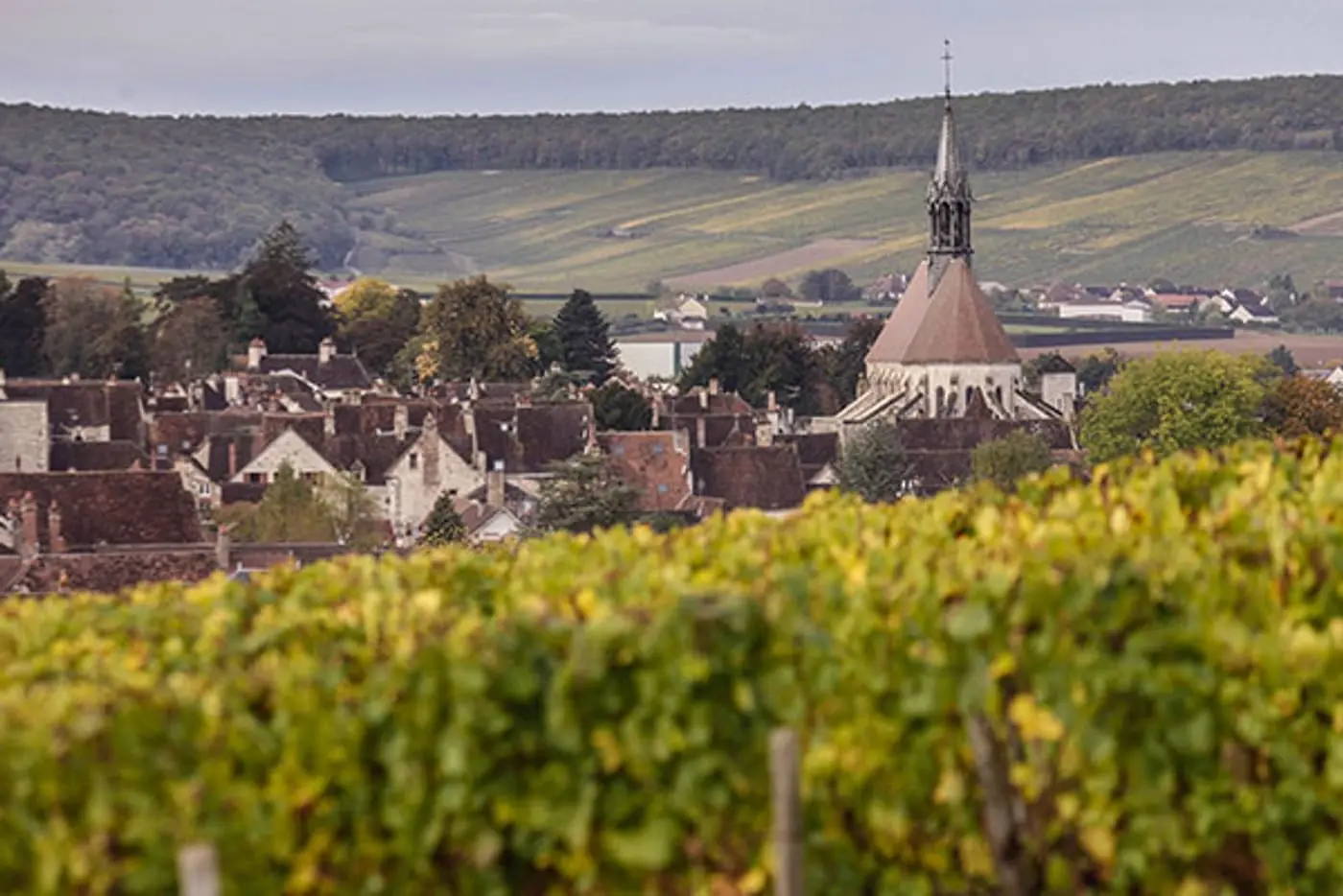 DOMAINE DANIEL-&Eacute;TIENNE DEFAIX