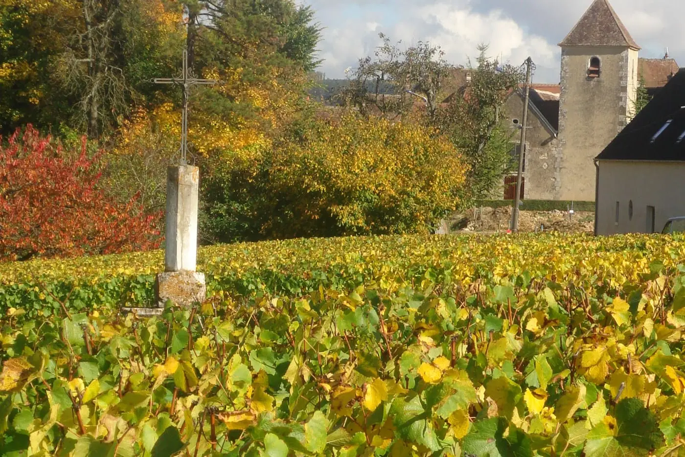 DOMAINE DANIEL-&Eacute;TIENNE DEFAIX