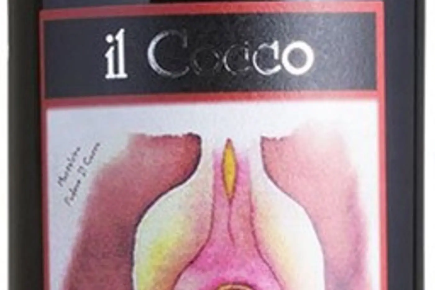 PODERE IL COCCO