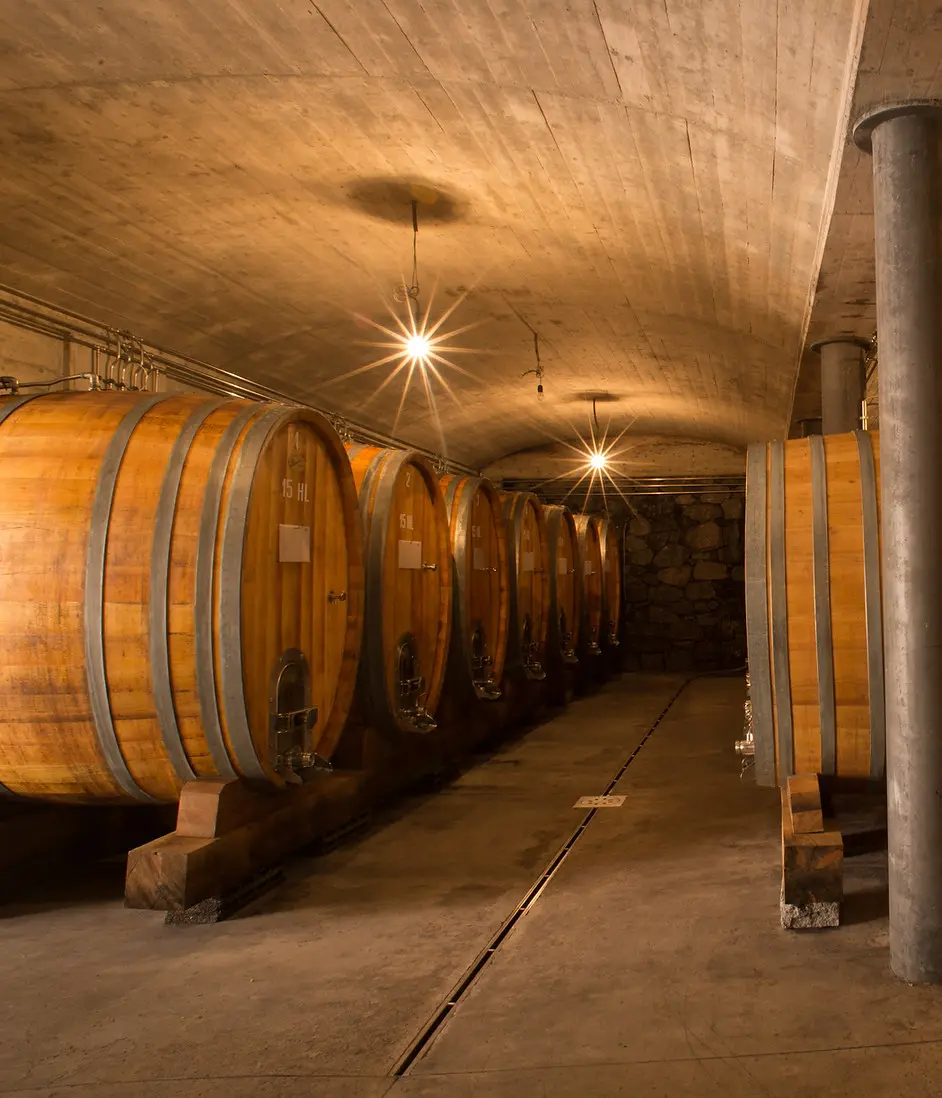 Estate vineyard